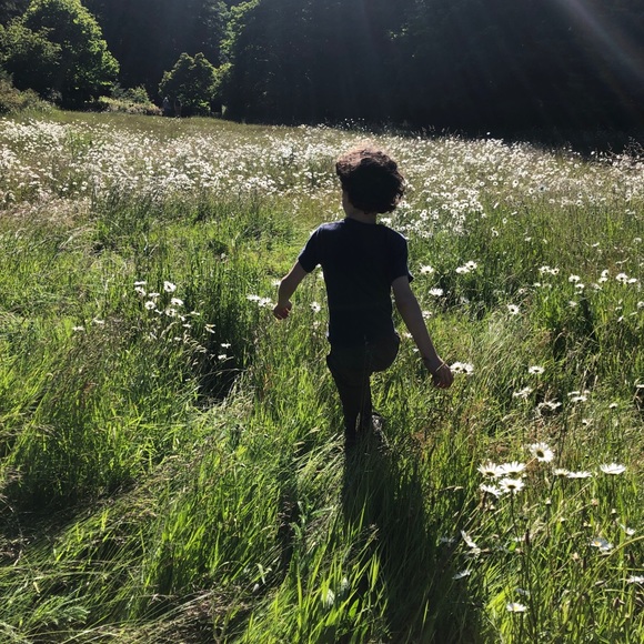 Meet your Posher, Addie - Picture 3 of 3